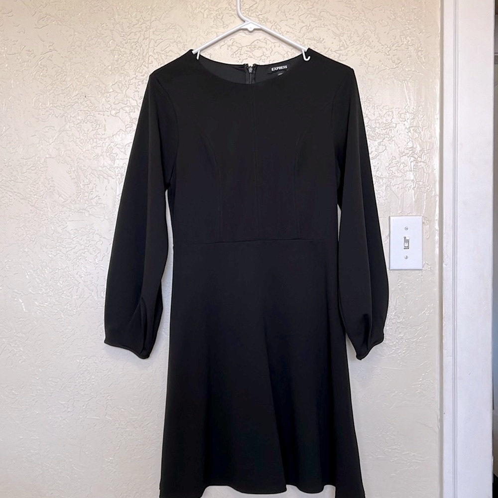 Express Balloon Sleeve Fit and Flare Dress